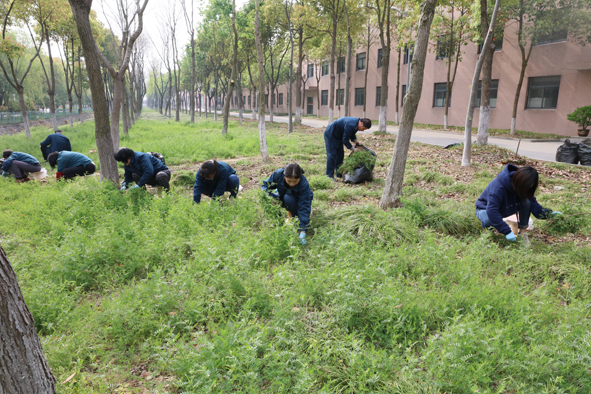 蓝月亮官方网站